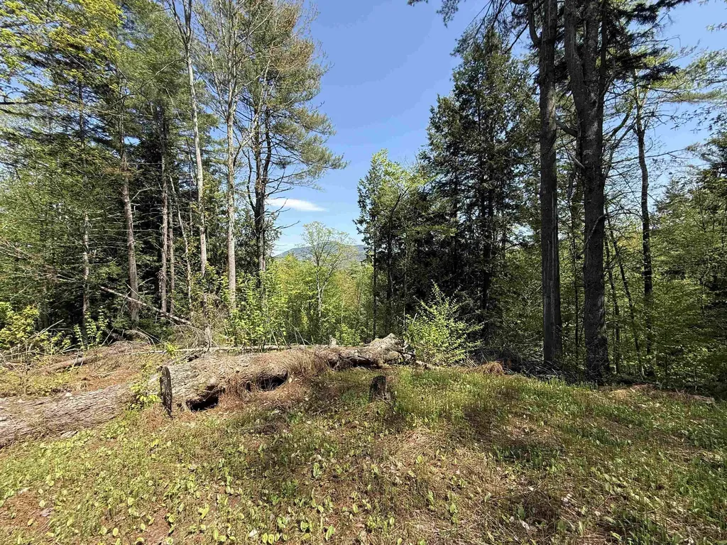 00 Senna Road Cavendish VT 05142