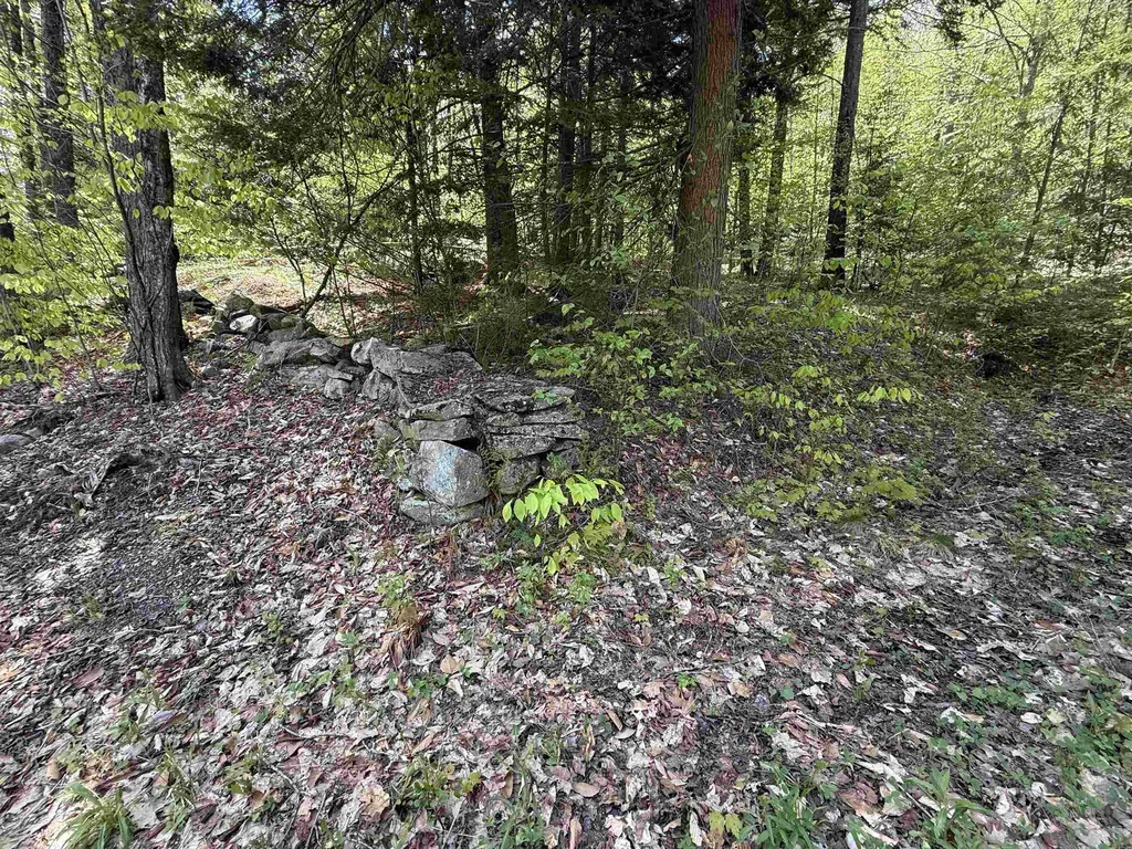 00 Senna Road Cavendish VT 05142