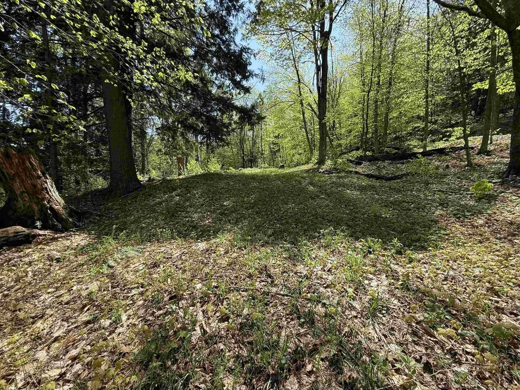 00 Senna Road Cavendish VT 05142