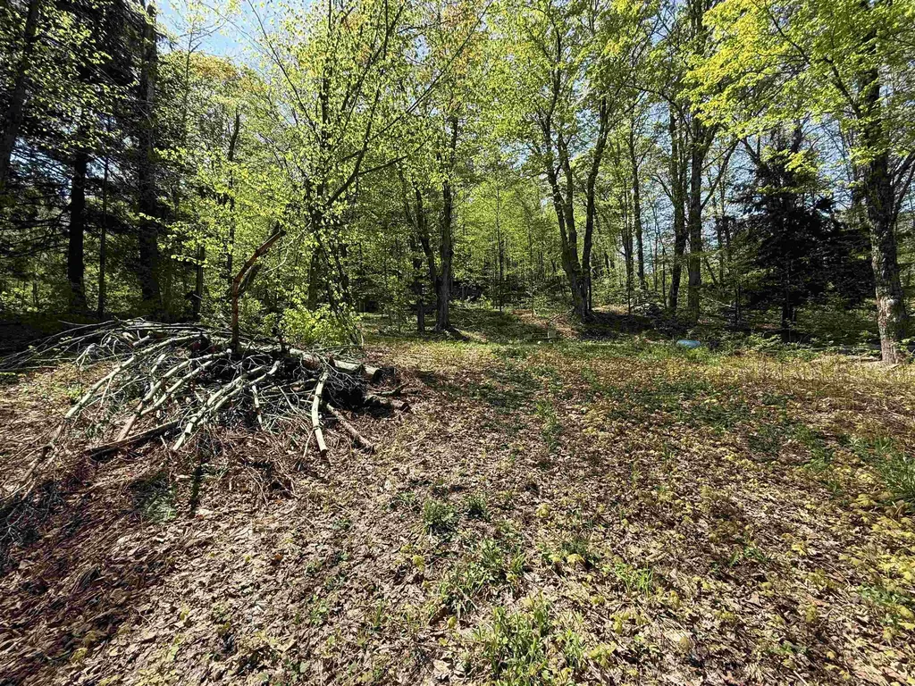 00 Senna Road Cavendish VT 05142