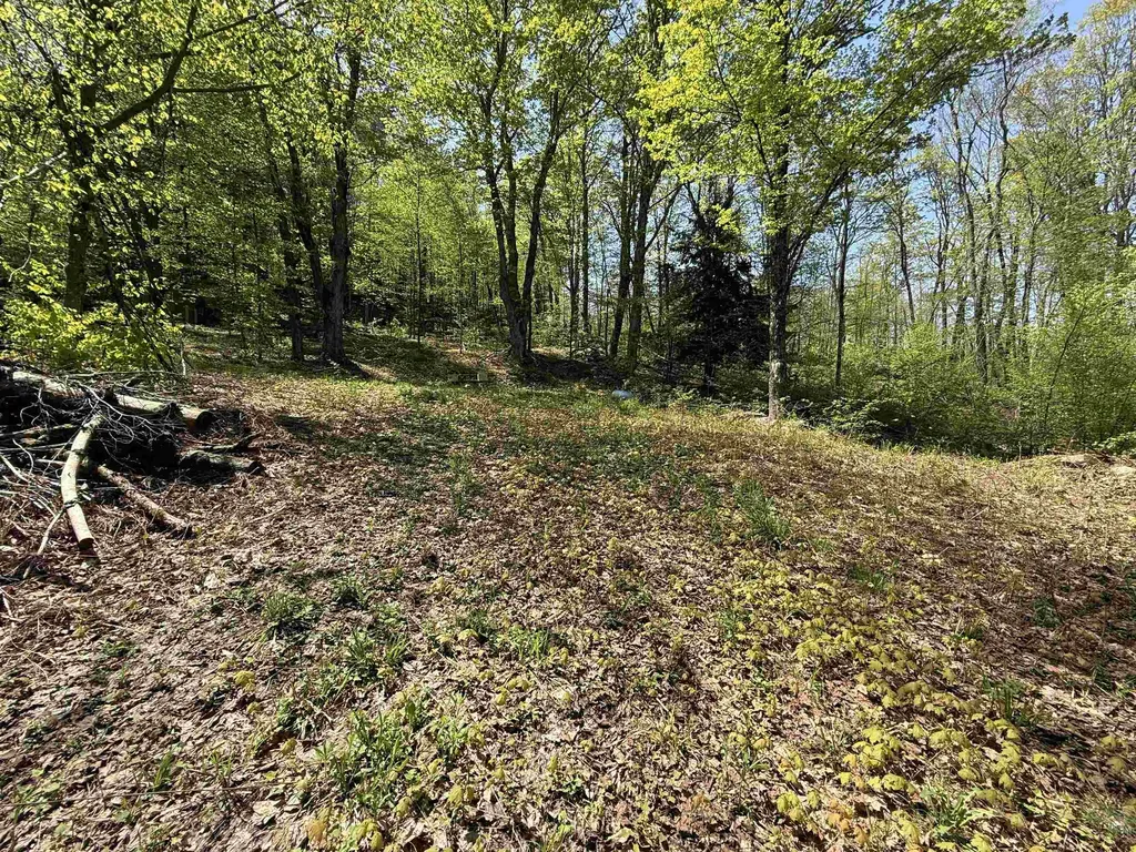 00 Senna Road Cavendish VT 05142