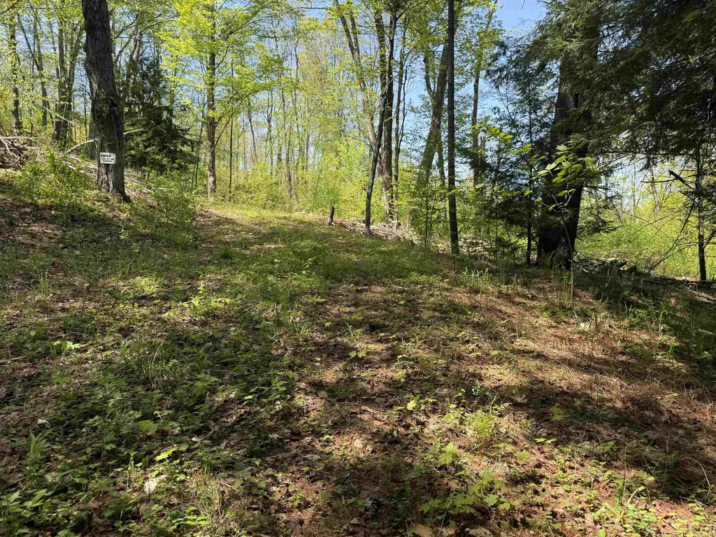 00 Senna Road Cavendish VT 05142