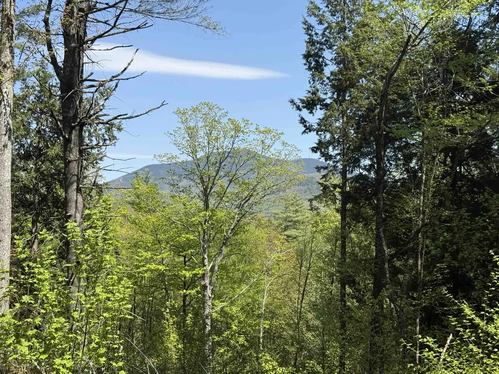 00 Senna Road Cavendish VT 05142