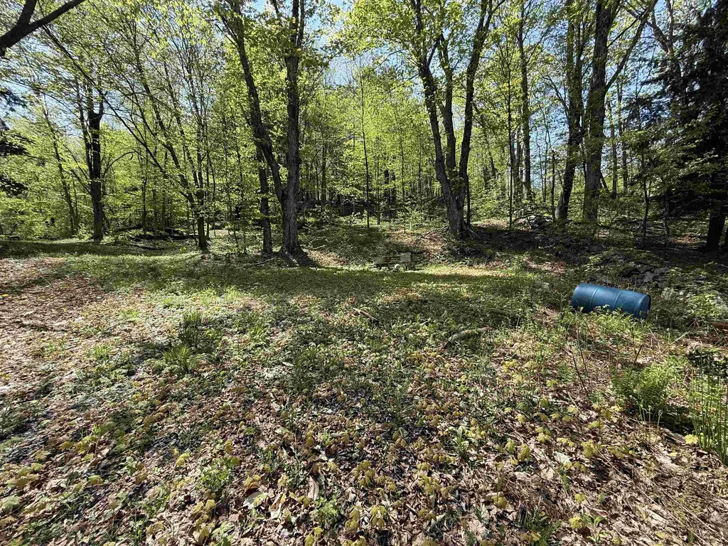 00 Senna Road Cavendish VT 05142