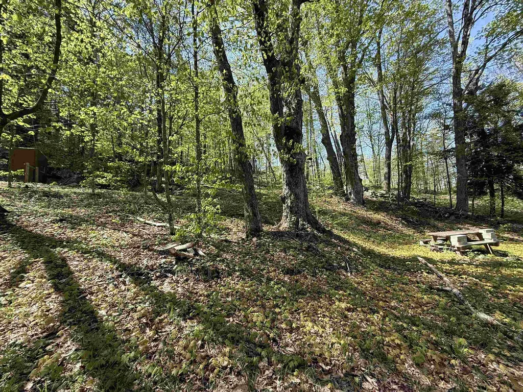 00 Senna Road Cavendish VT 05142