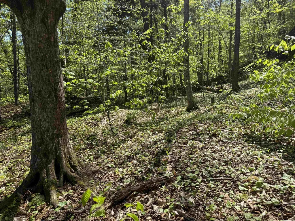 00 Senna Road Cavendish VT 05142