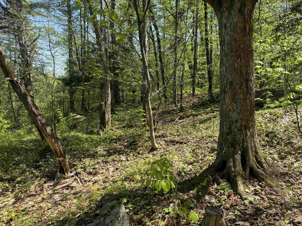 00 Senna Road Cavendish VT 05142