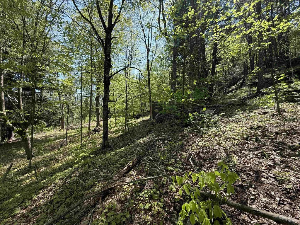 00 Senna Road Cavendish VT 05142