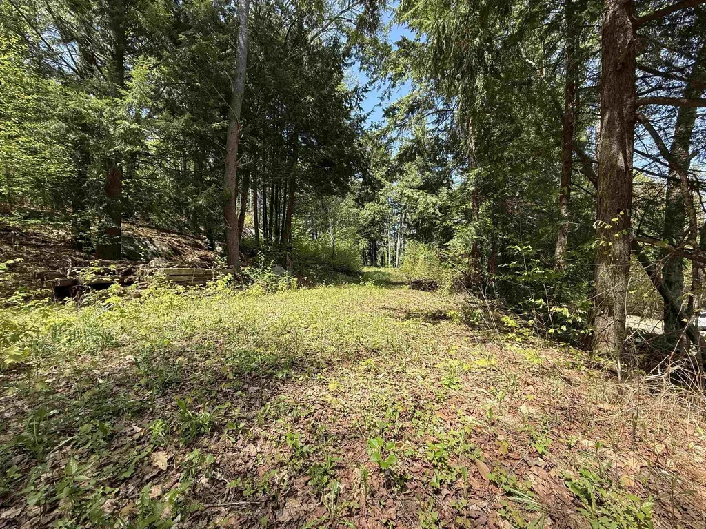 00 Senna Road Cavendish VT 05142