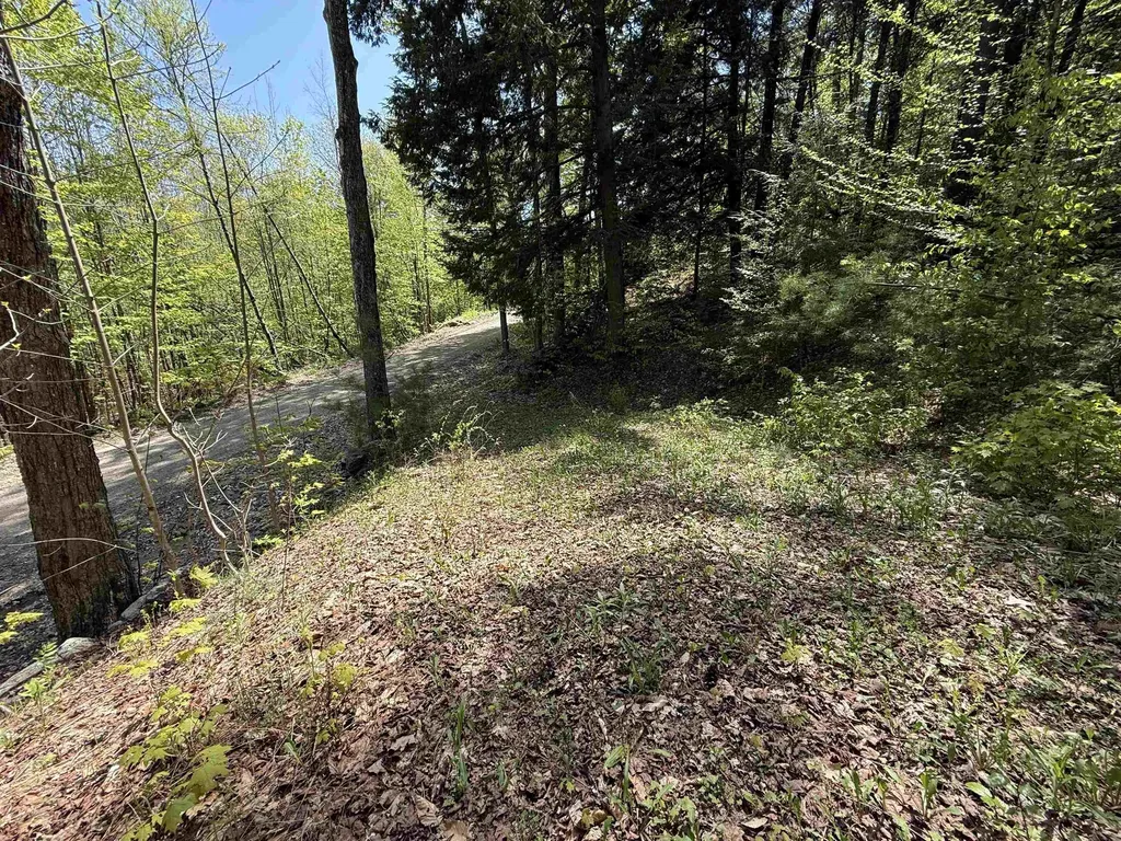 00 Senna Road Cavendish VT 05142