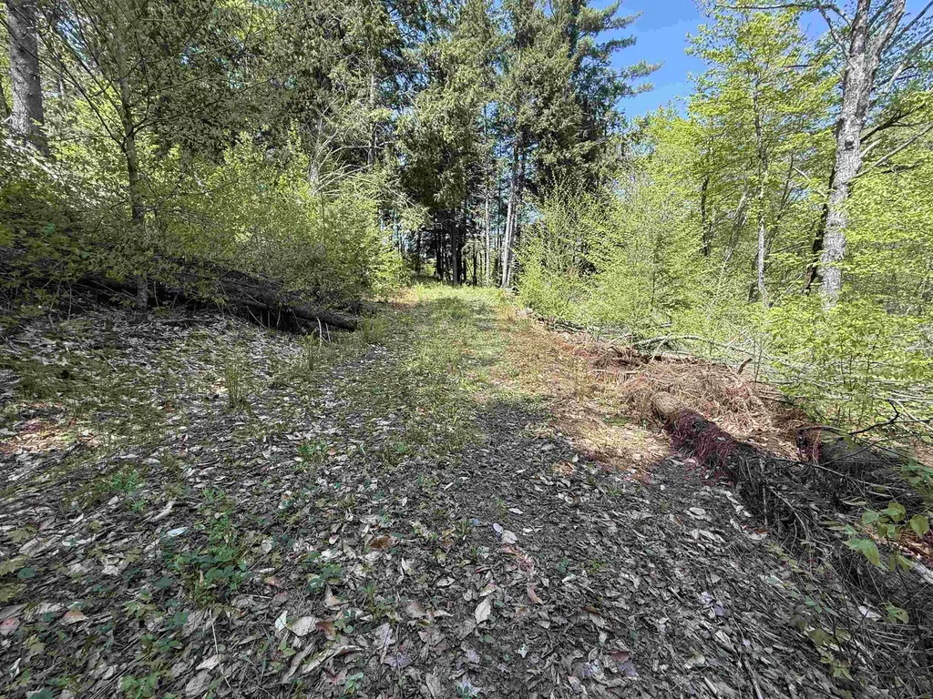 00 Senna Road Cavendish VT 05142