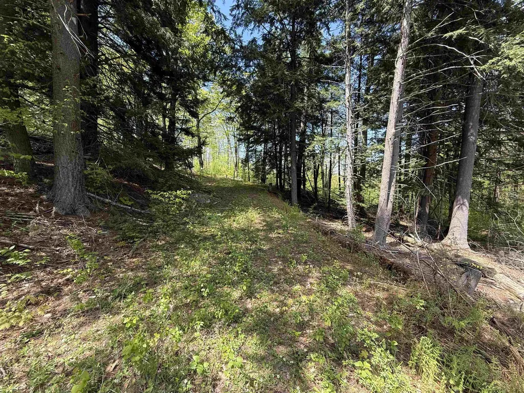 00 Senna Road Cavendish VT 05142