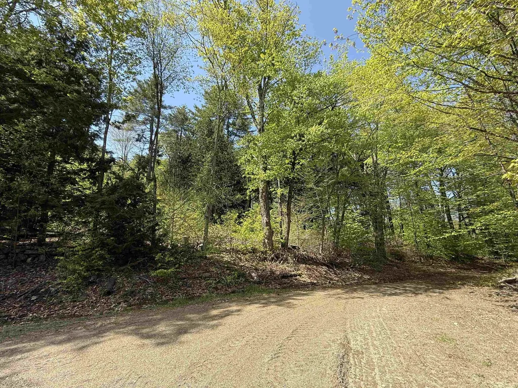 00 Senna Road Cavendish VT 05142