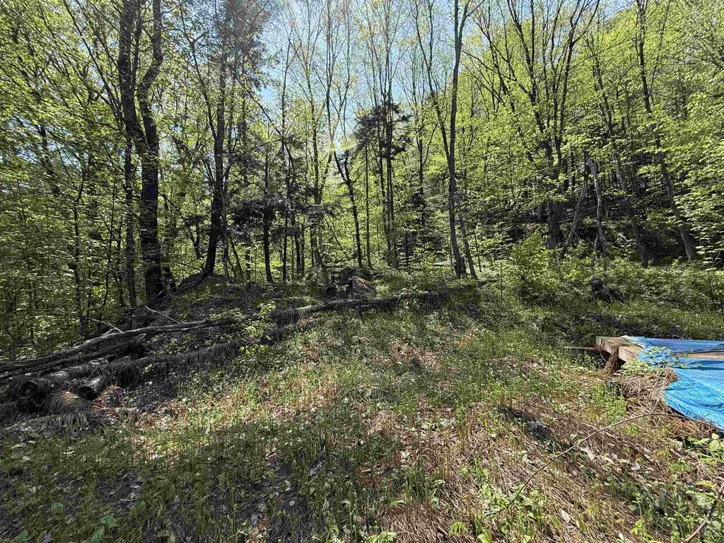 00 Senna Road Cavendish VT 05142