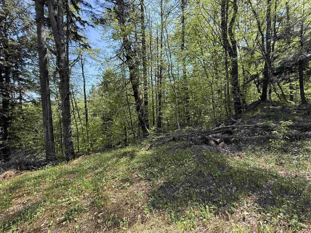 00 Senna Road Cavendish VT 05142