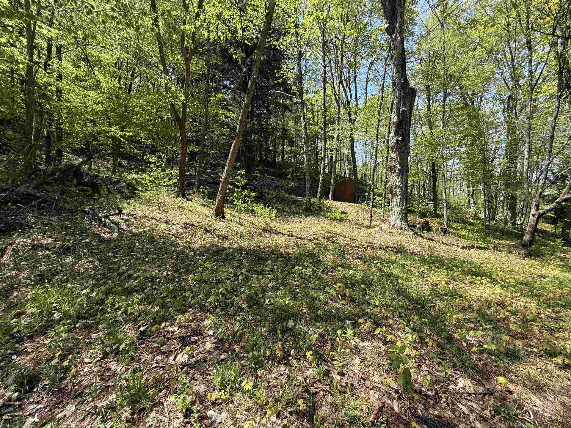 00 Senna Road Cavendish VT 05142