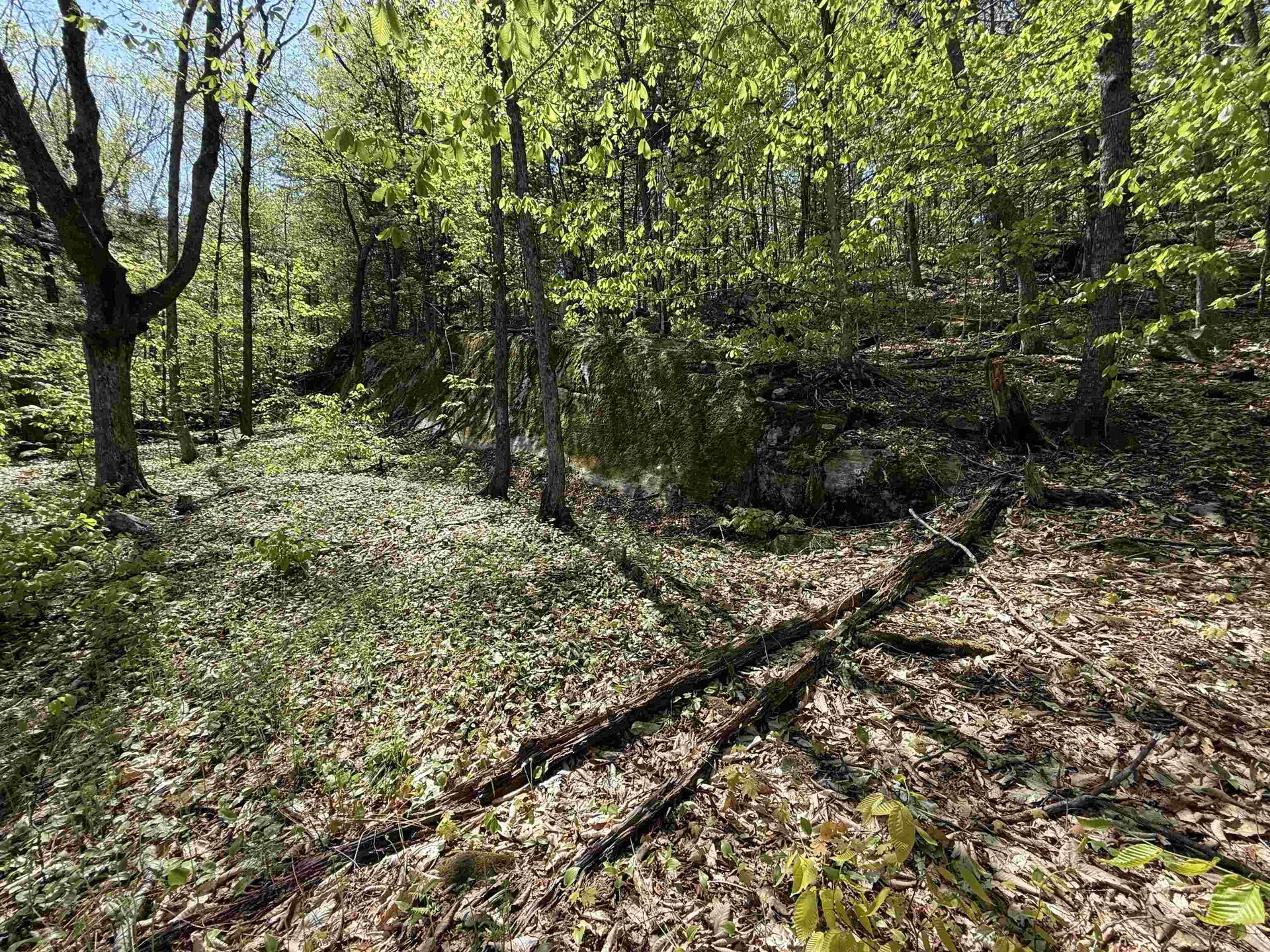 00 Senna Road Cavendish VT 05142