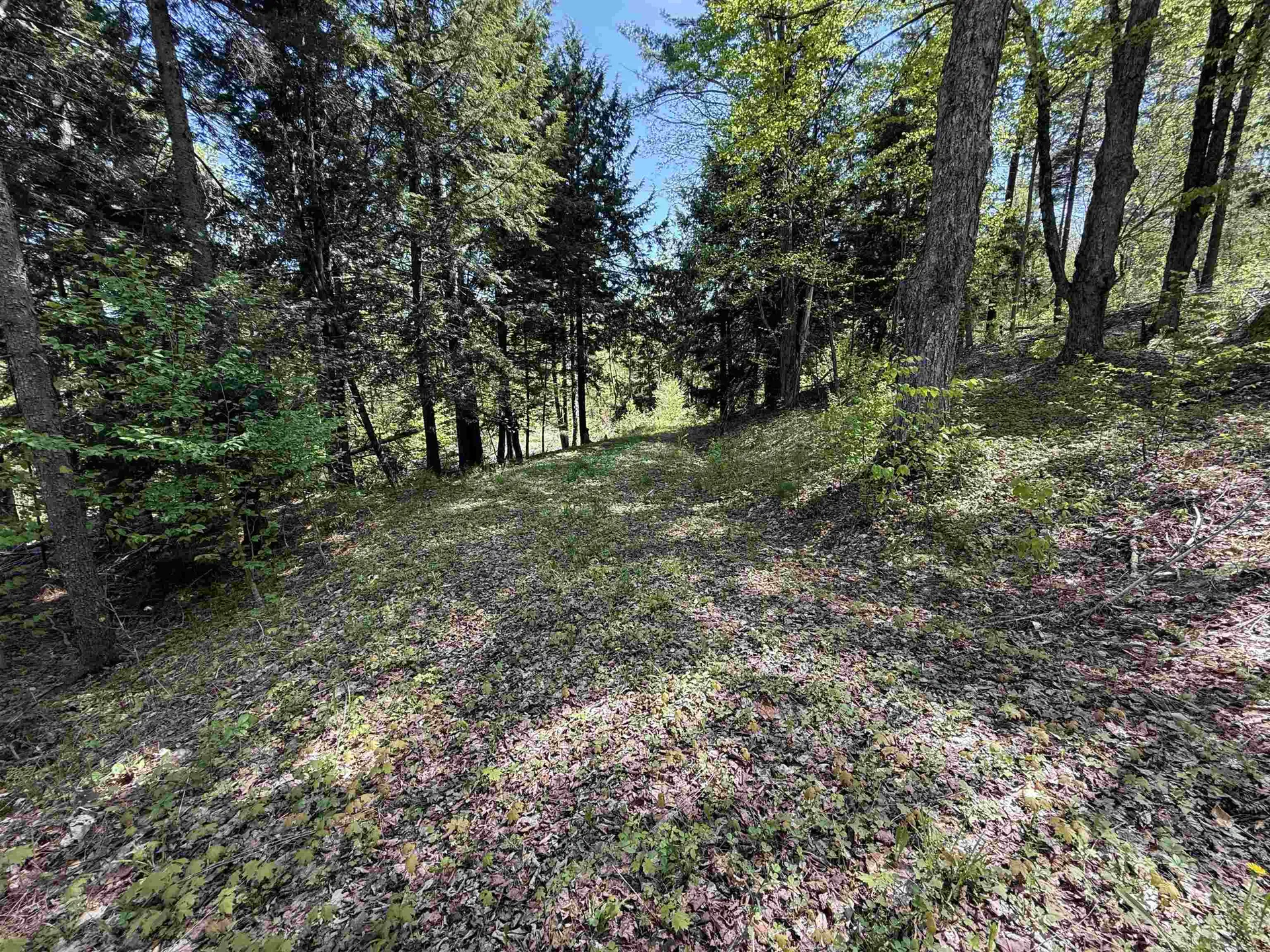 00 Senna Road Cavendish VT 05142