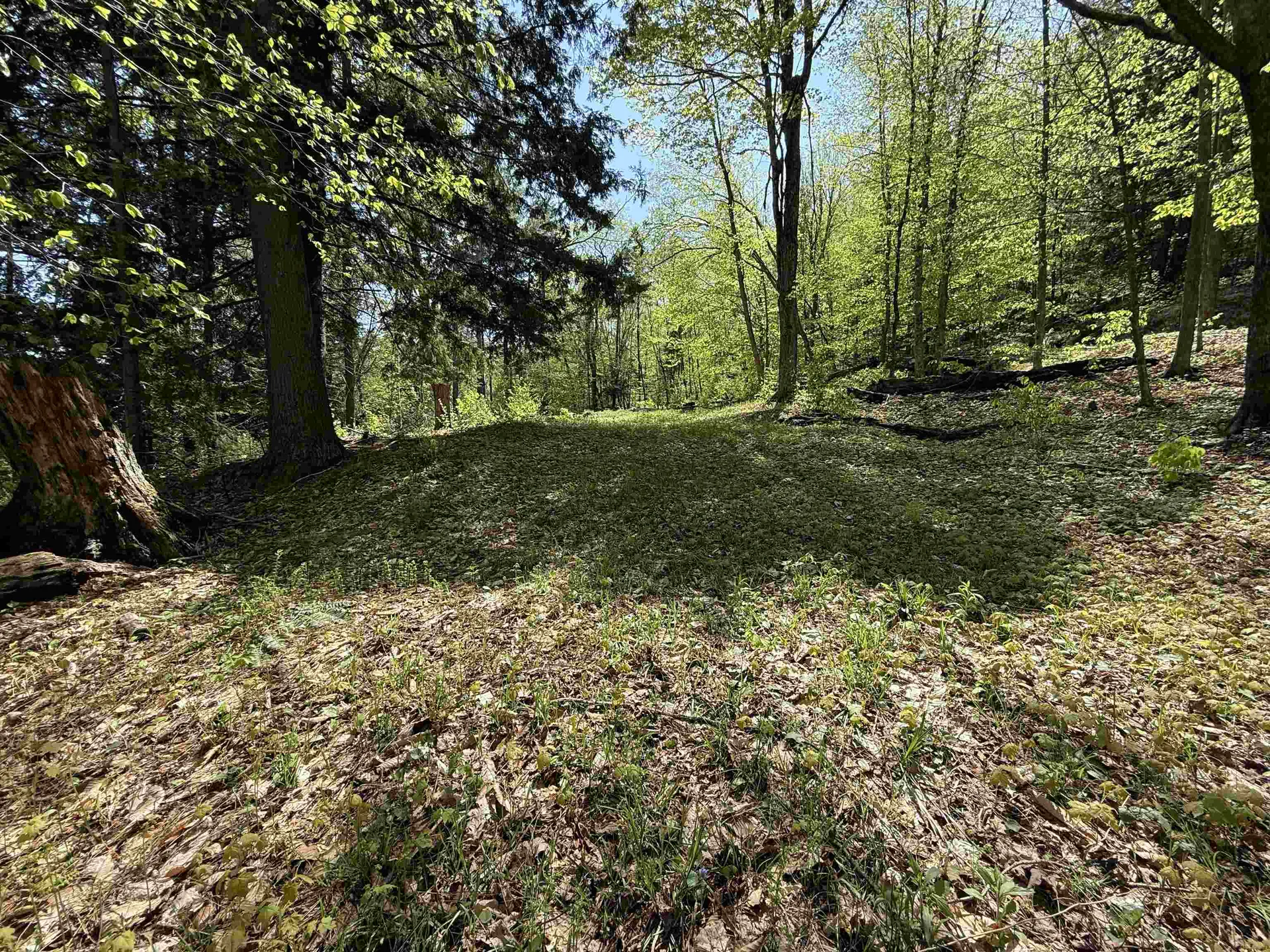 00 Senna Road Cavendish VT 05142