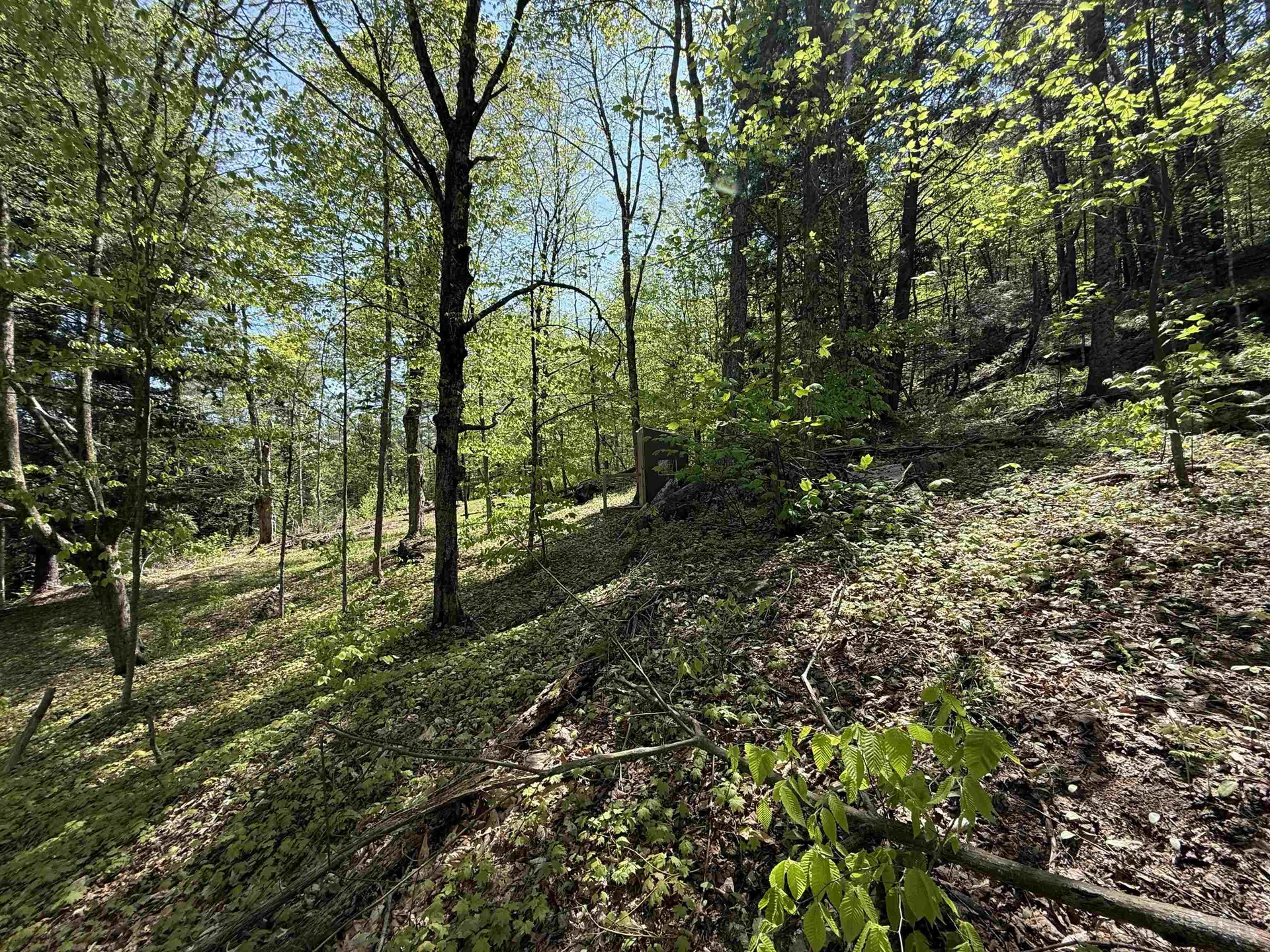 00 Senna Road Cavendish VT 05142