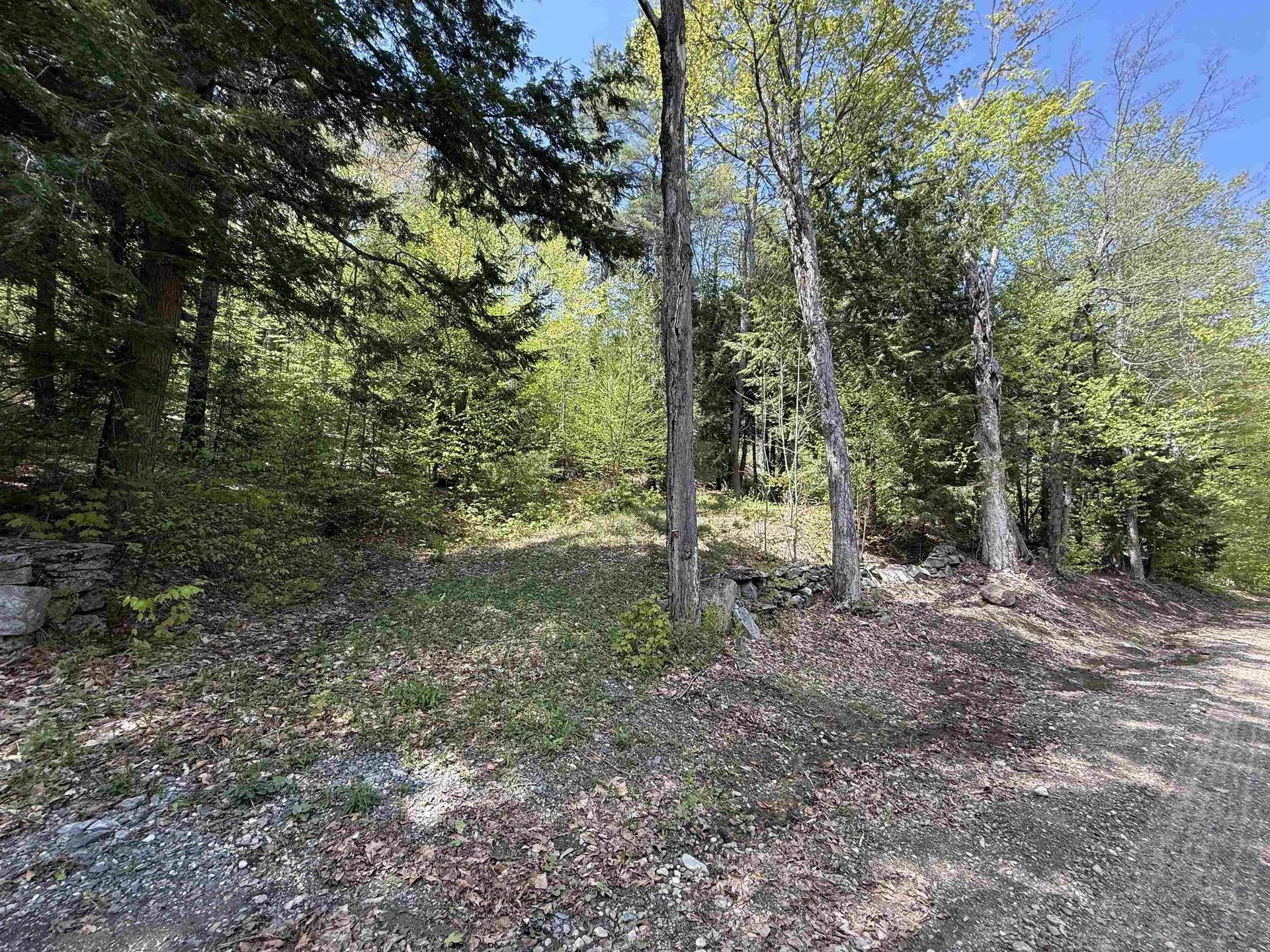 00 Senna Road Cavendish VT 05142