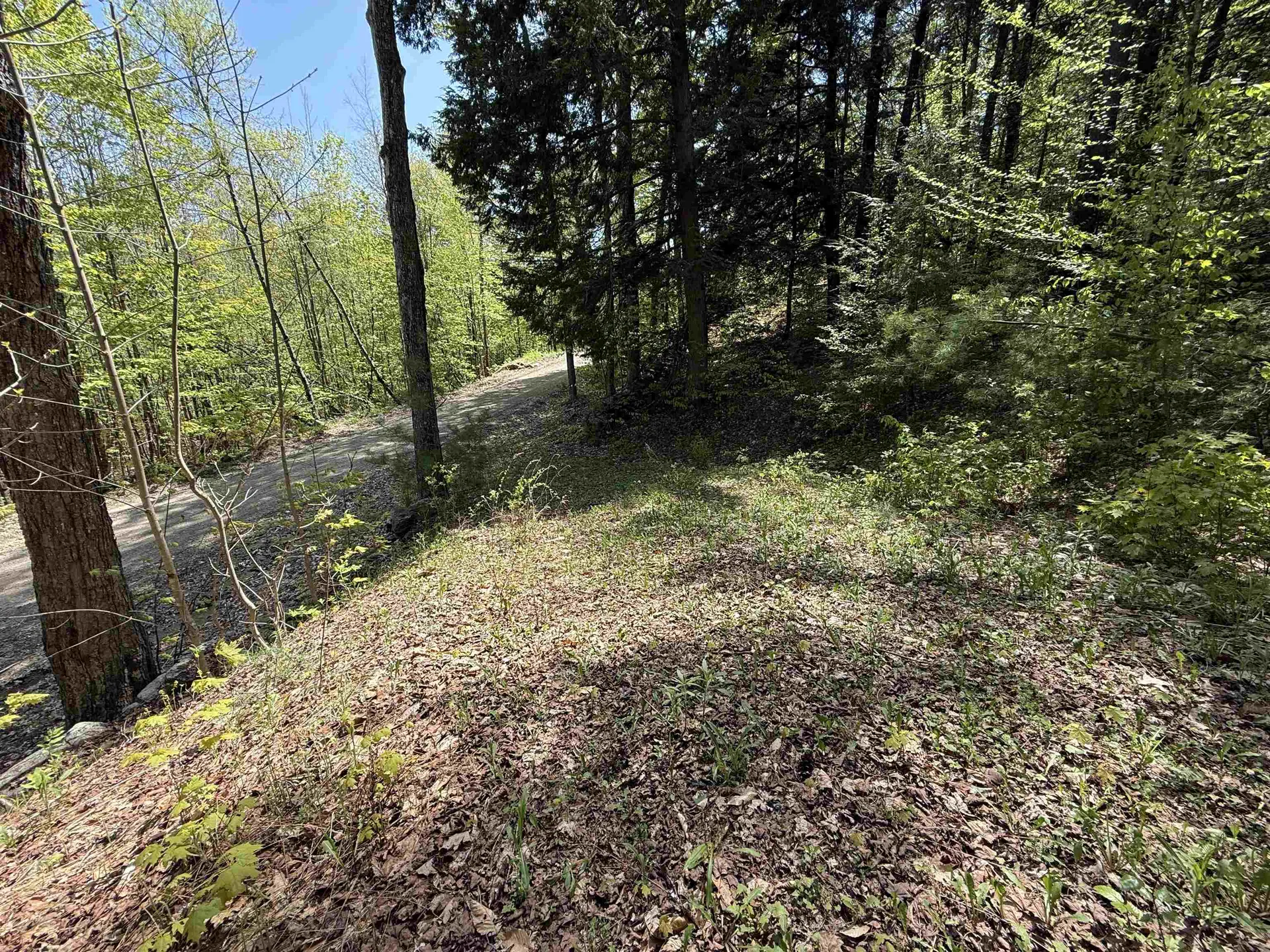 00 Senna Road Cavendish VT 05142