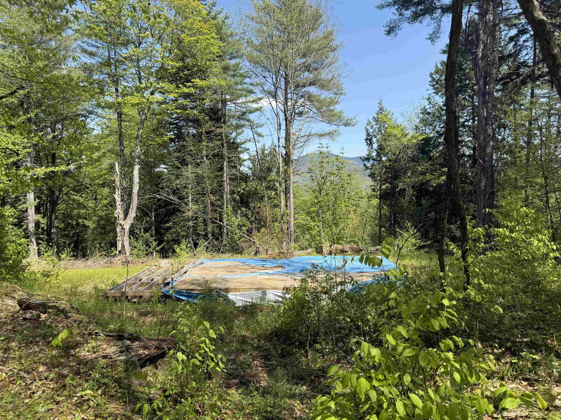 00 Senna Road Cavendish VT 05142