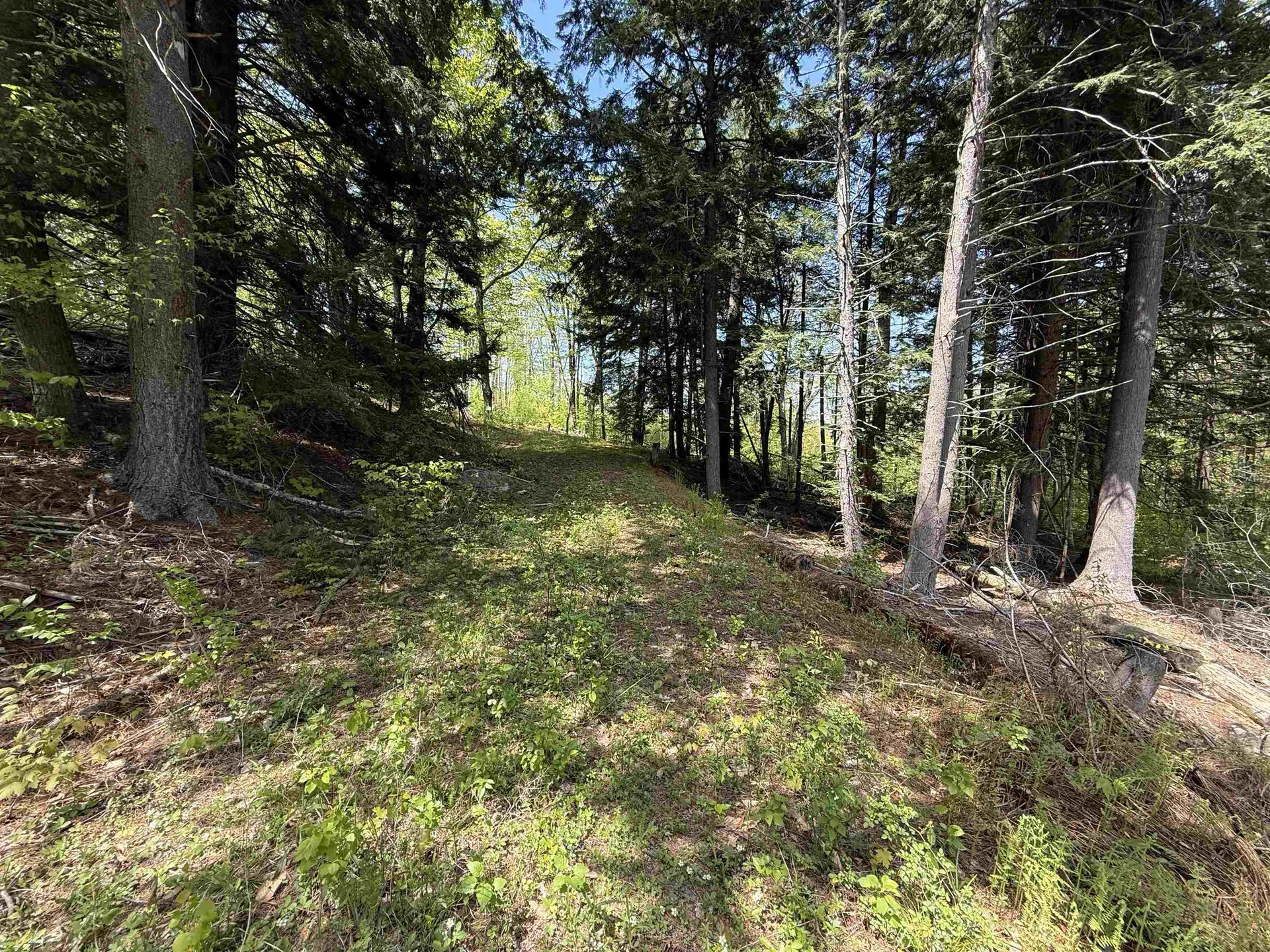 00 Senna Road Cavendish VT 05142