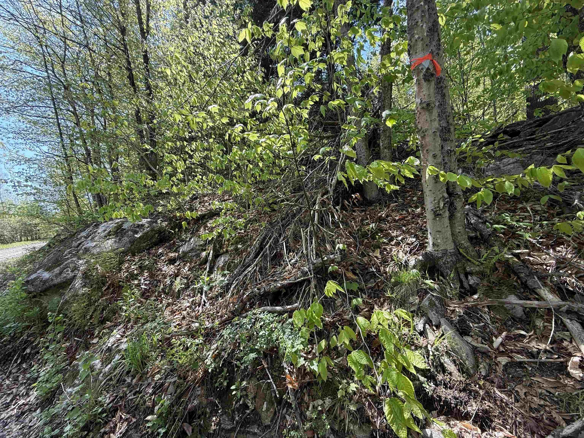 00 Senna Road Cavendish VT 05142