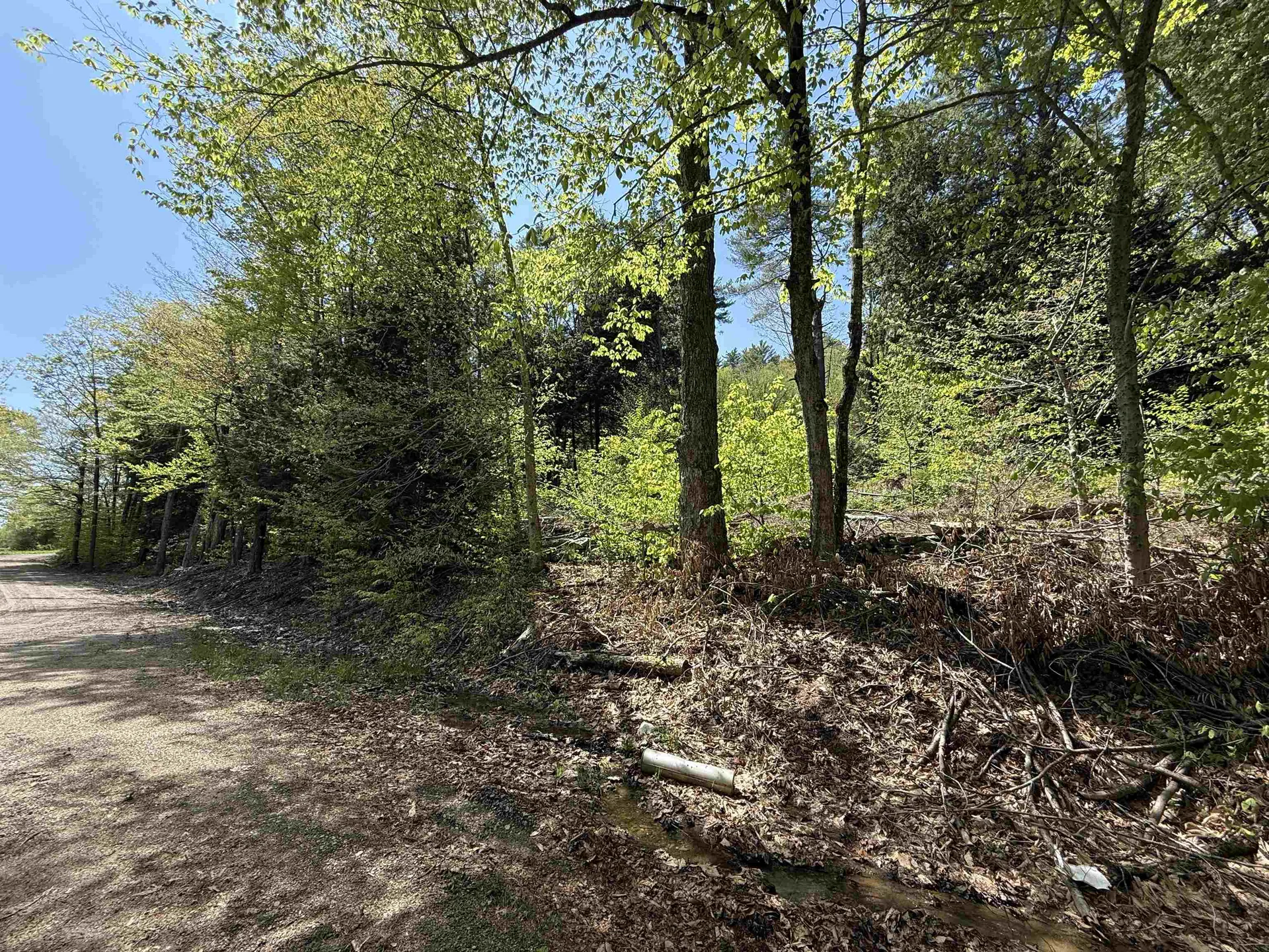 00 Senna Road Cavendish VT 05142