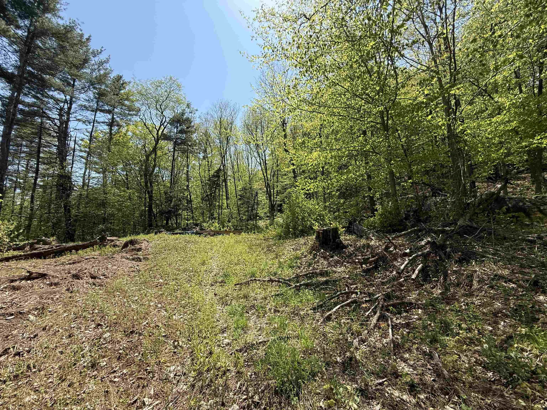 00 Senna Road Cavendish VT 05142