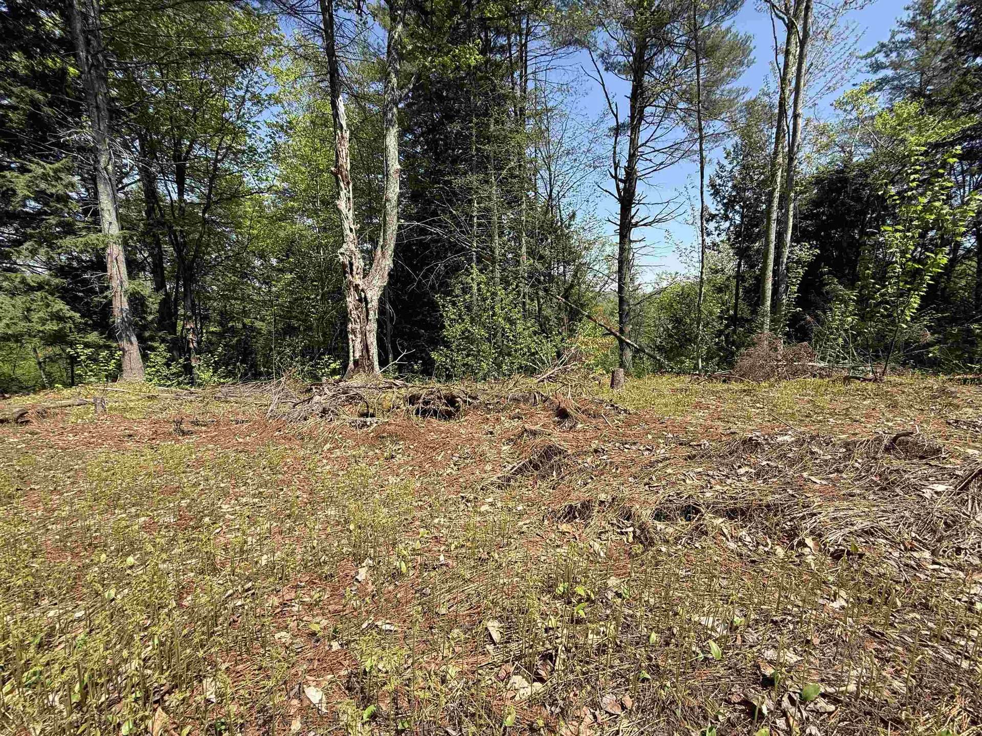 00 Senna Road Cavendish VT 05142