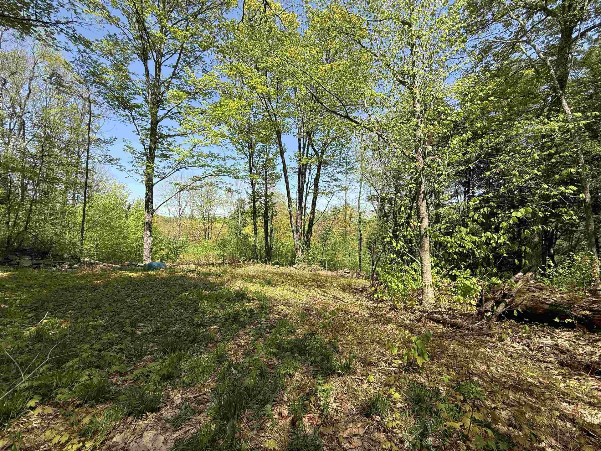 00 Senna Road Cavendish VT 05142