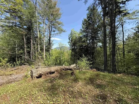 00 Senna Road Cavendish VT 05142