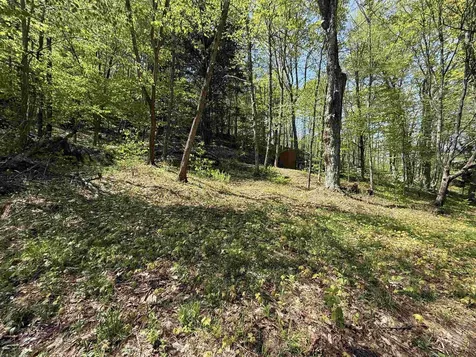 00 Senna Road Cavendish VT 05142