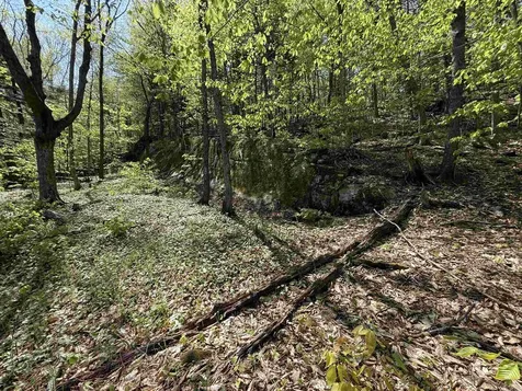 00 Senna Road Cavendish VT 05142