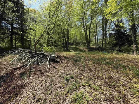 00 Senna Road Cavendish VT 05142