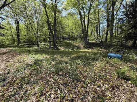 00 Senna Road Cavendish VT 05142