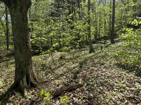 00 Senna Road Cavendish VT 05142