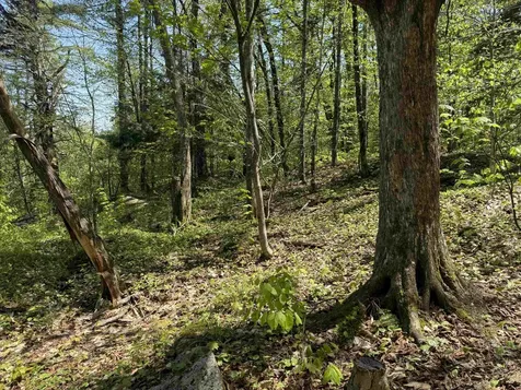 00 Senna Road Cavendish VT 05142