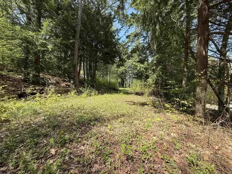 00 Senna Road Cavendish VT 05142