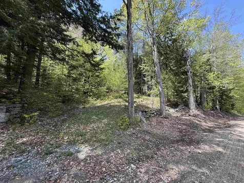 00 Senna Road Cavendish VT 05142