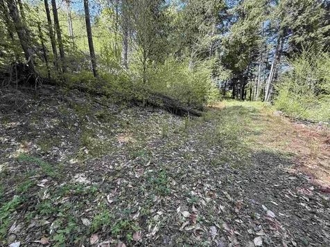 00 Senna Road Cavendish VT 05142