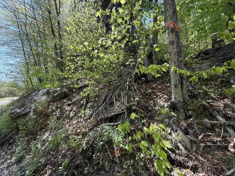 00 Senna Road Cavendish VT 05142