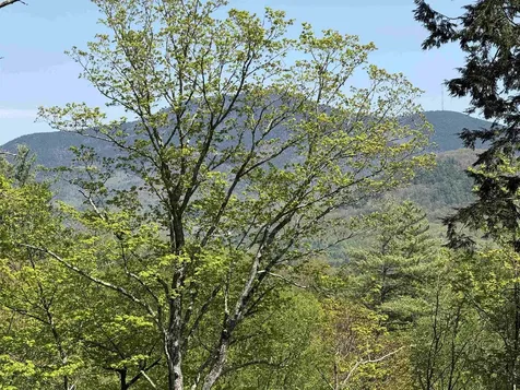 00 Senna Road Cavendish VT 05142