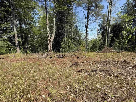 00 Senna Road Cavendish VT 05142