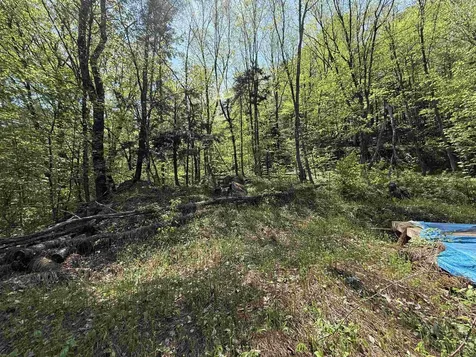 00 Senna Road Cavendish VT 05142