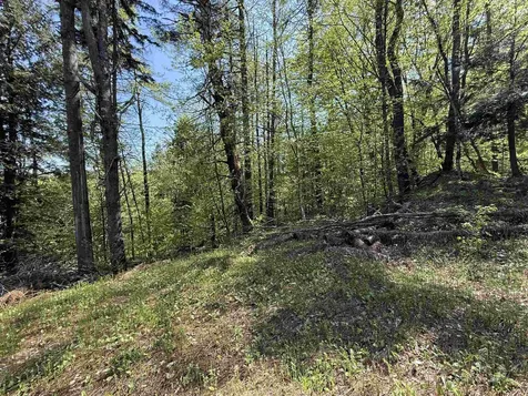 00 Senna Road Cavendish VT 05142