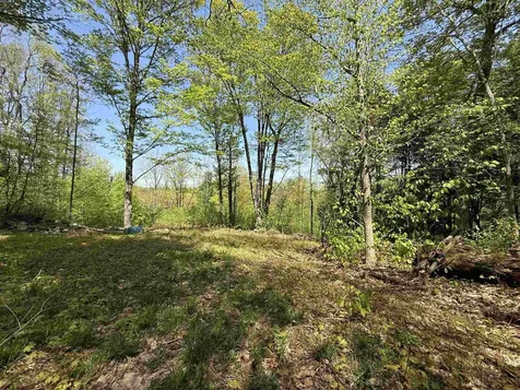 00 Senna Road Cavendish VT 05142