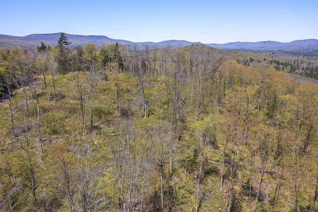 0 Rock Bottom Lane Peru VT 05152